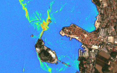 High-Resolution Images of the Extreme Algal Bloom on the Western Coast of Istria