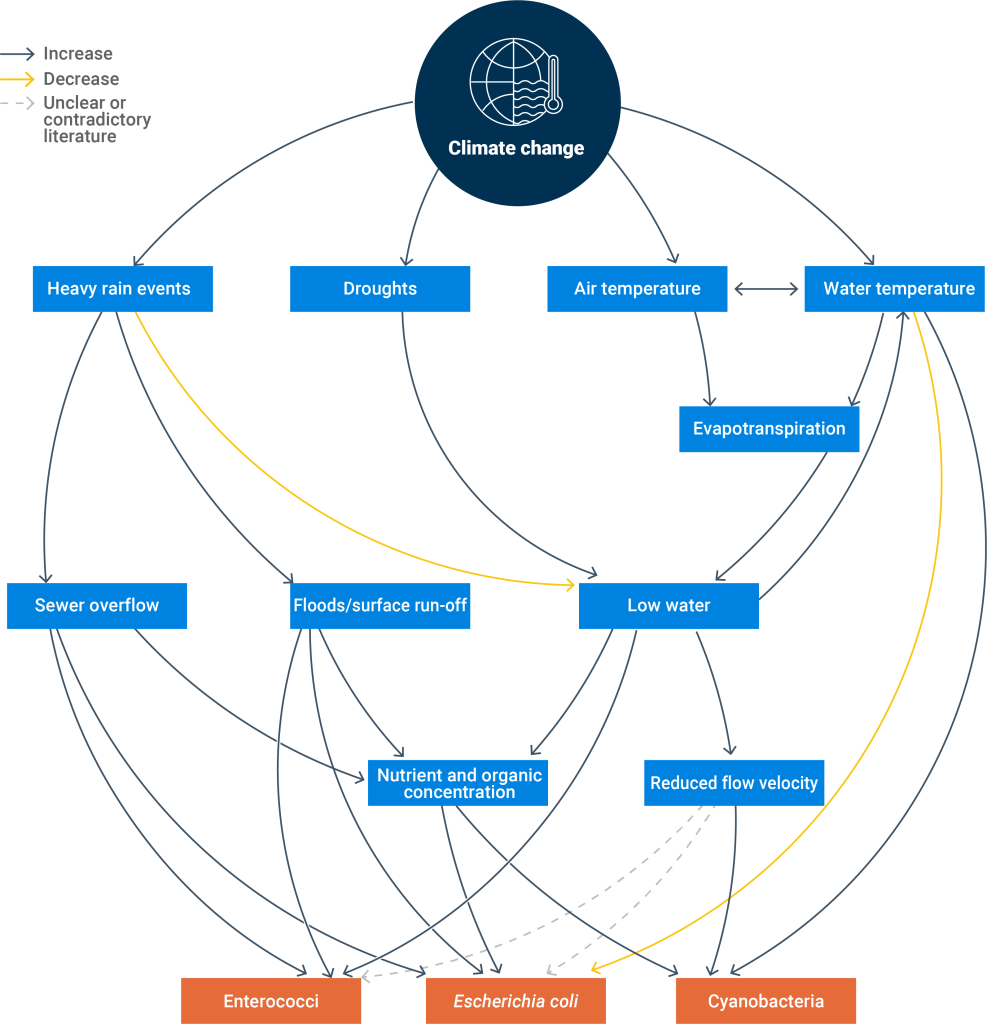 Conceptual model of the relationship between climate warming and the occurrence of E. coli, intestinal enterococci and cyanobacteria — this also reflects bathing water quality across the globe.