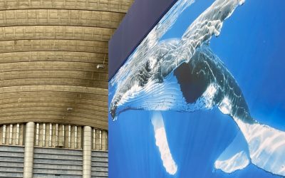 SeaCras na United Nations Ocean Conference – snažnijim djelovanjem za zdravije oceane