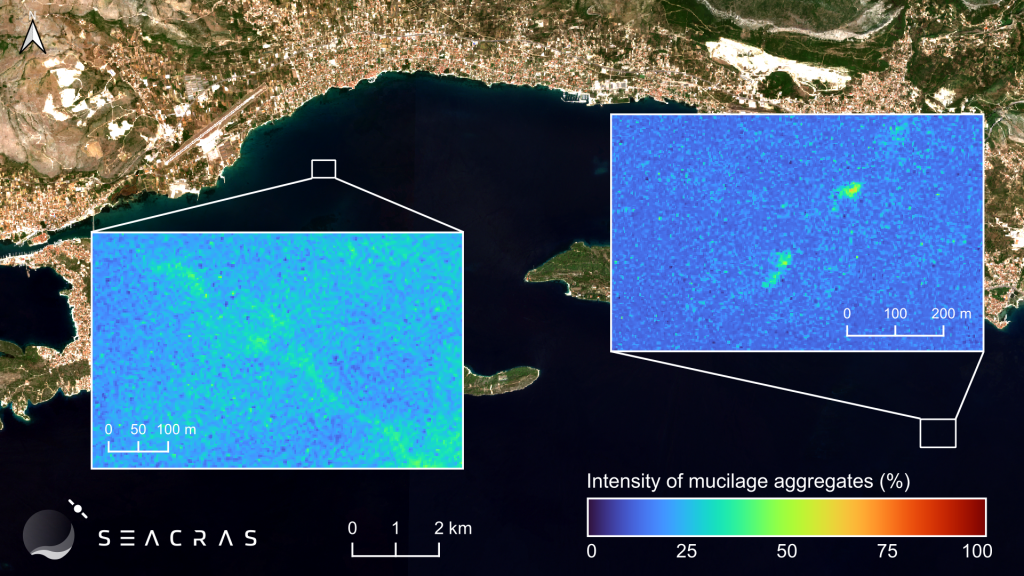 Algal bloom in the Adriatic (Split area)