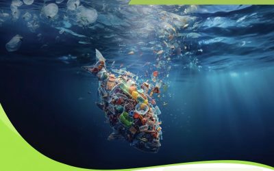 Plastic Pollution in the Adriatic-Ionian Region: PREVENT’s First-Year Results Reveal Alarming Levels