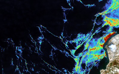 Fuel Spill Detection at Sea: How Seacras’ Coastal Intelligence Helps Improve Marine Pollution Monitoring